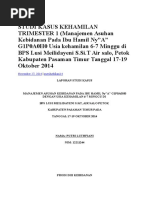 Download Studi Kasus Kehamilan Trimester 1 by Siti Fathimah SN350376805 doc pdf