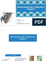 Patologias Del Concreto Fresco