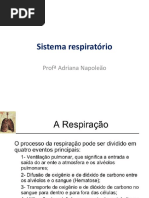 Sist. Respiratorio