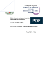 04. Informe Anemia Aplásica y Policitemia