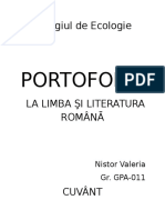 Portofoliu La Limba Şi Literatura Romană