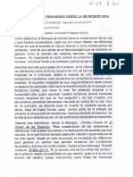 Una Mirada A La Pedagogia Desde La Neurobioligia