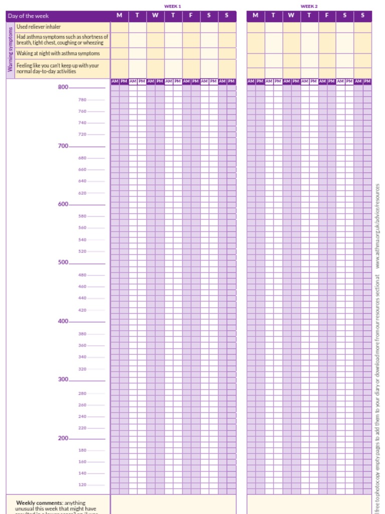 Peak Flow Meter Monitor Asthma Cough