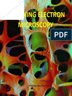 Scanning Electron Microscope