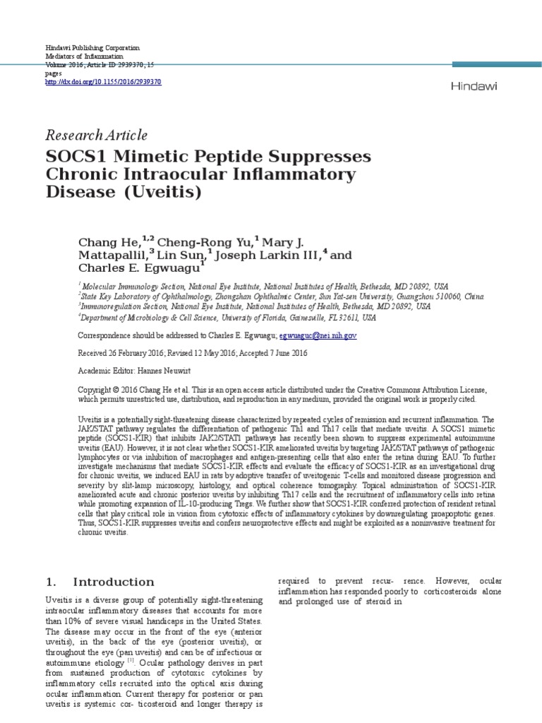 Research Article: SOCS1 Mimetic Peptide Suppresses Chronic Intraocular ...