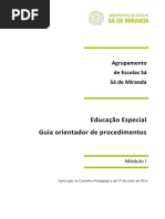 Educação-Especial-Guia-dos-procedimentos-MUITO BOM.pdf