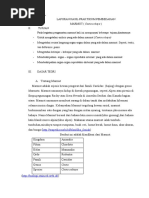 Download LAPORAN HASIL PRAKTIKUM PEMBEDAHAN  MARMUT  Cavia cobaya  by Danang Yanuarianto SN35040950 doc pdf