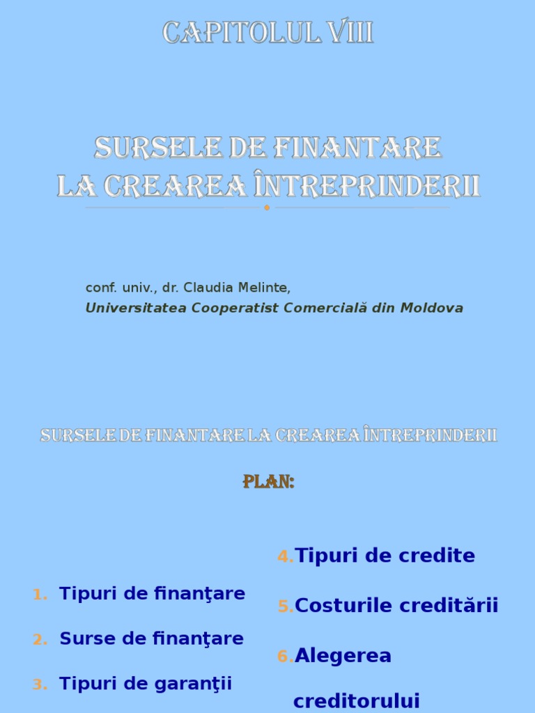 Surse de Finantare | PDF