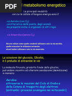 BIO 3.1