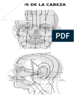 Puntos Cabeza