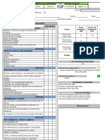 Formato de Auditorias Efectivas