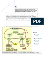 Ciclo Del Azufre