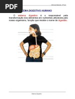 Sistema Digestivo 6º CN