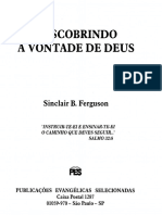 DESCOBRINDO A VONTADE DE DEUS.pdf
