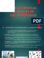 Caracteristicas Generales de Los Artropodos