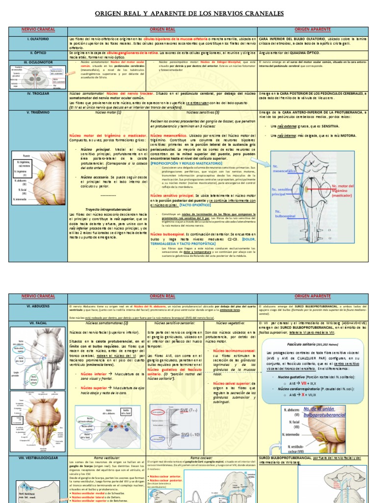 Origen Real y Aparente de Los