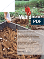 mandioca_cienciahj.pdf