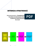 Intentia-strategica