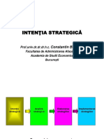 Intentia Strategica