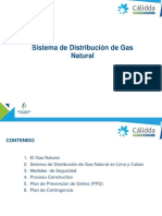 distribucion calida.pdf