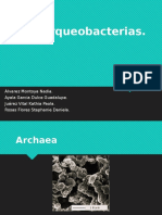 arqueasMICRO.pptx