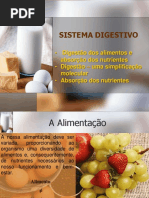 Sistema Digestivo