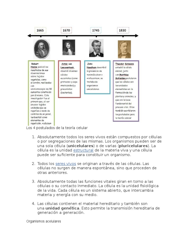 Los 4 Postulados de La Teoría Celular Organismos Biología Celular)