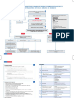 Anexo_1_ALGORITMO_ACV_MANEJO_URGENCIA_final.pdf