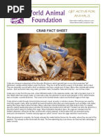 Crab Fact Sheet