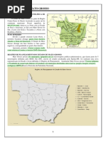 Geopolítica de Mato Grosso