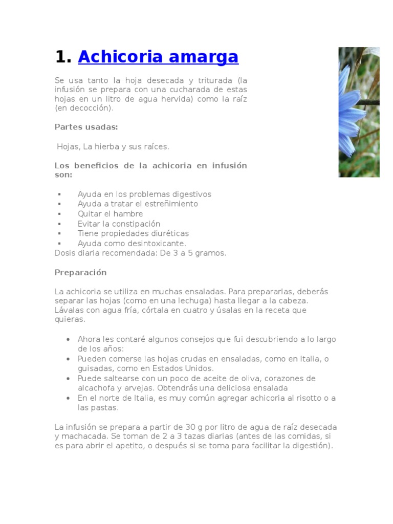 20 Plantas Medicinales Plantas Medicinales Ajo