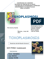 Toxoplasmosislista 120213201514 Phpapp02