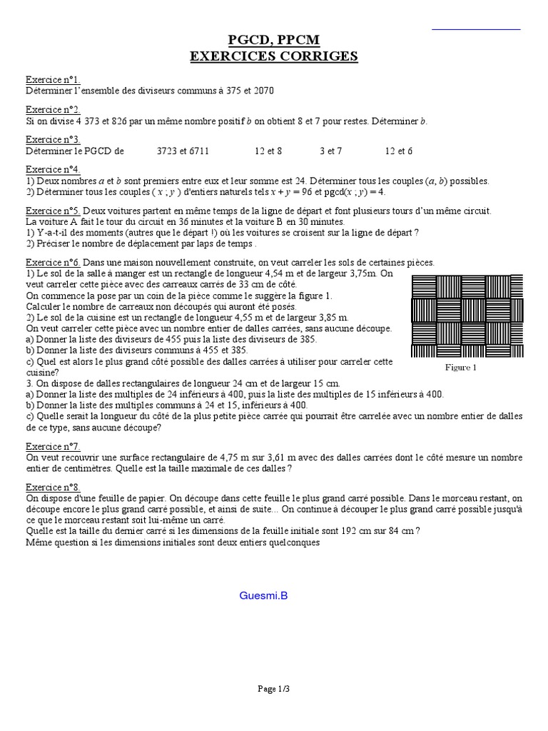 Exercices Multiples Et Diviseurs Pdf Avec Correction Cm2 PGCD PPCM Corriges1 | PDF | Mathématiques élémentaires | Concepts  mathématiques