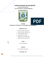 Monografia Desarrollo Sostenible & Contaminación Ambiental - Econ Ambiental - Unsm Fecol