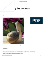 El Caracol y Las Cerezas