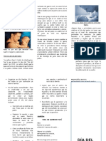 58595574-triptico-Dia-del-Padre.docx