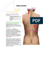 Resumen Snell-Neuro PDF