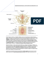 2do Depa IBC - MARIA PDF