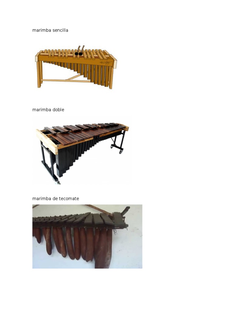 Marimba Sencilla PDF Evolución Teorías biológicas