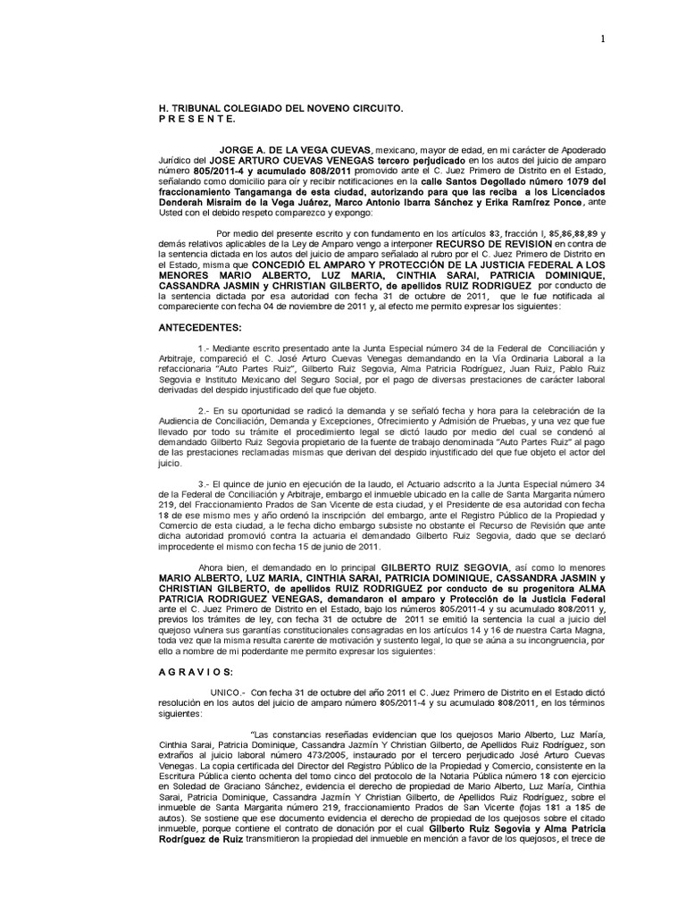 Recurso de Revisión en Amparo Laboral | PDF | Bienes (Ley) | Caso de ley