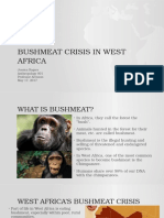 Research Project Bushmeat Crisis