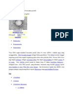 Virus RNA Single