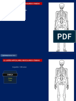 13 - Lesões Articulares, Musculares e Osseas