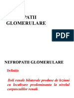 Nefropatii Glomerulare 2016[1]