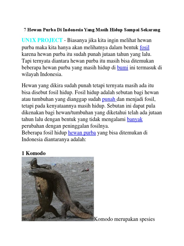 560 Gambar Fosil Hewan Dan Tumbuhan HD Terbaik