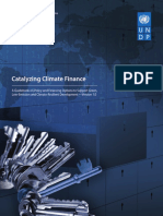 UNDP-Catalyzing Climate Finance PDF