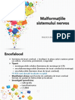 Curs 5 - Malformatii Sn