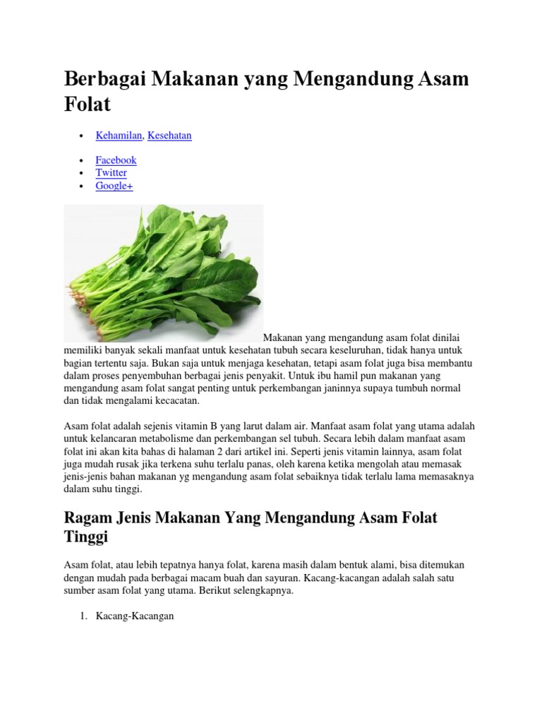 Berbagai Makanan Yang Mengandung Asam Folat