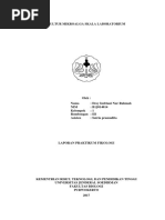 Download Kultur Mikroalga Desy by Desy Indriani Nur R SN350517874 doc pdf