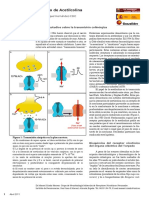 MCriado_Mayo_2011.pdf